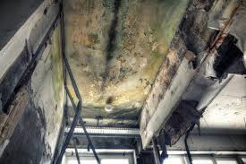 Best Post-Construction Mold Inspection in USA